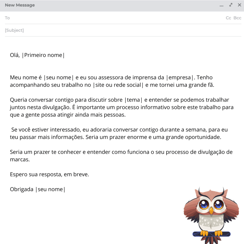 template de email personalizado para influenciador digital