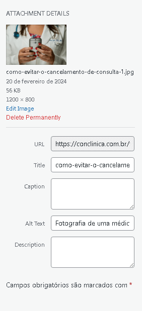 Print da tela de edição de atributos da imagem no plugin de web stories.